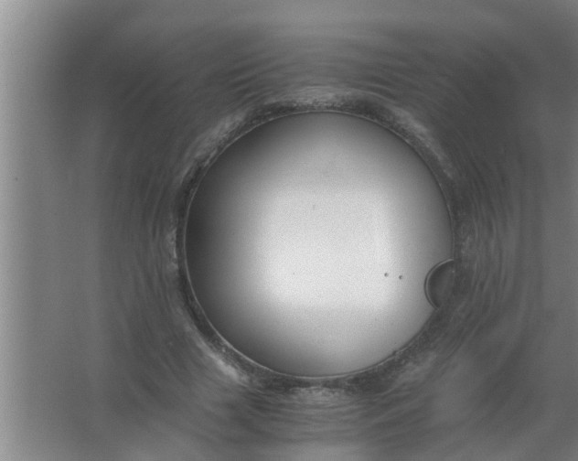 X0000063500633200602032018