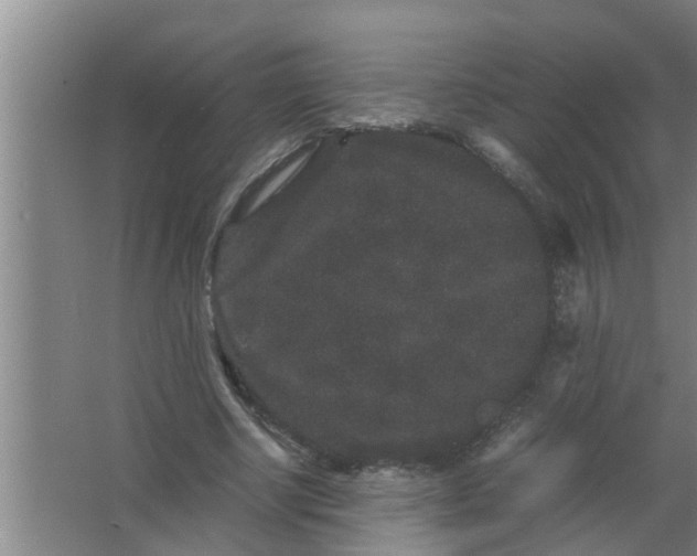 X0000063500634200602032018