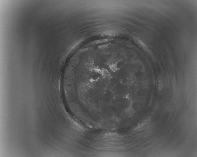 X0000063500637200602032018