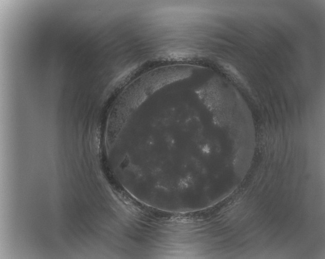 X0000063500640200602032018