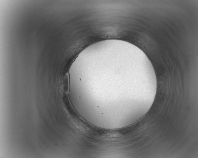 X0000063500642200602032018