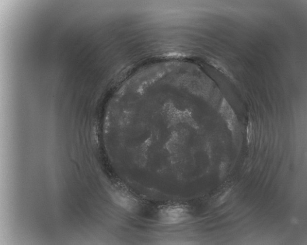 X0000063500643200602032018