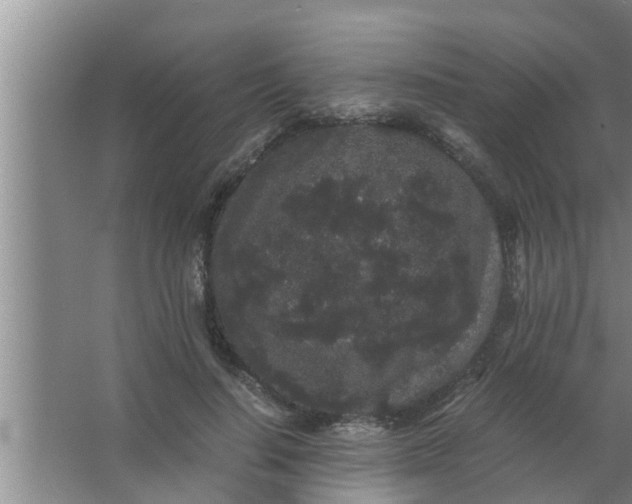 X0000063500644200602032018