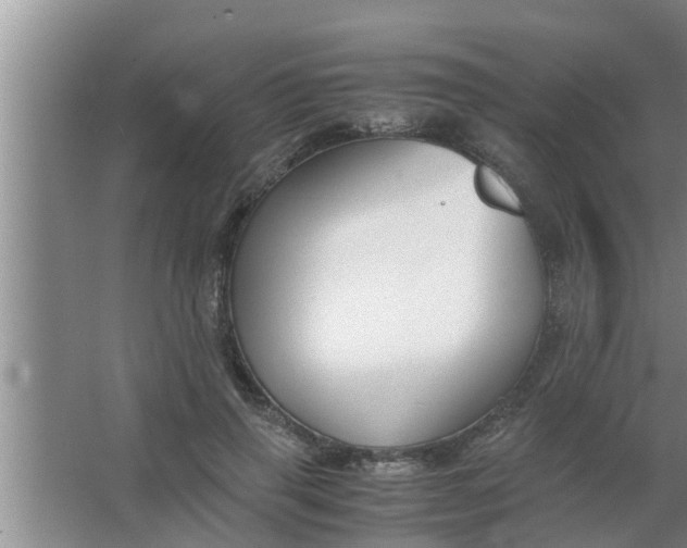 X0000063500645200602032018