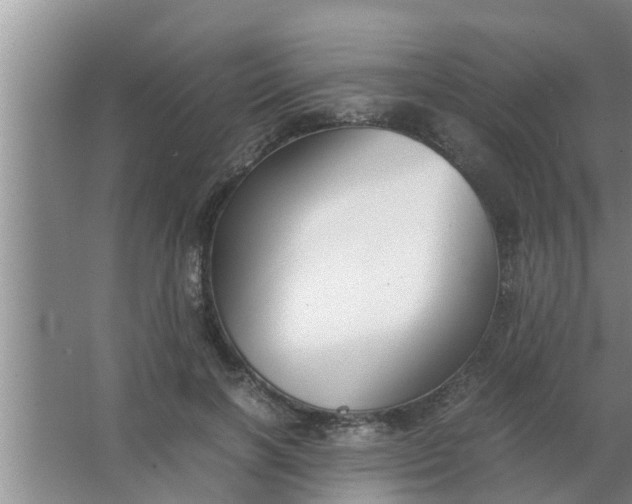 X0000063500646200602032018