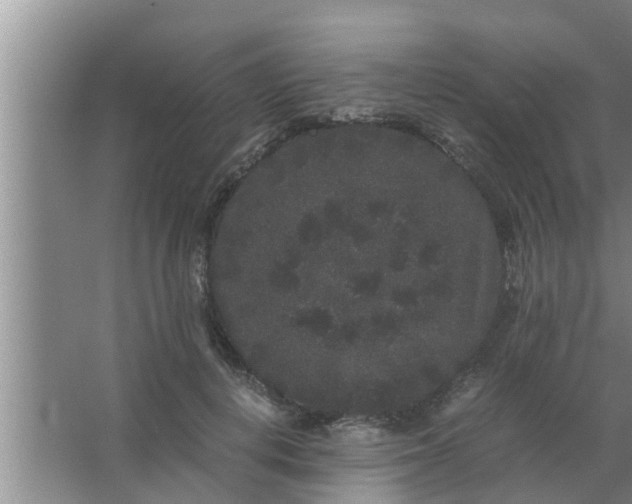 X0000063500648200602032018