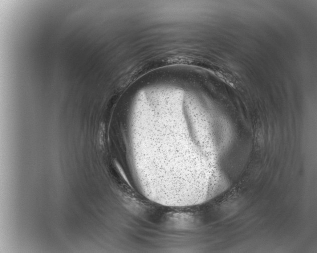 X0000063500649200602032018