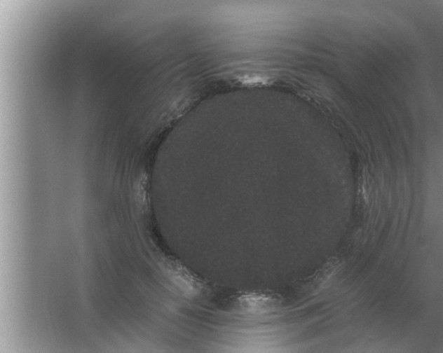 X0000063500650200602032018