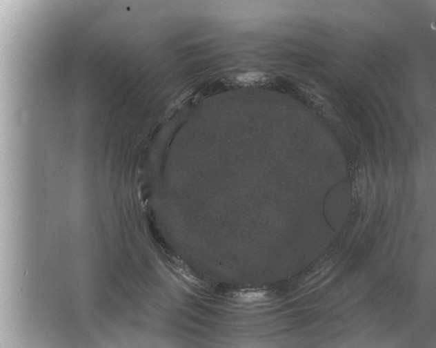 X0000063500651200602032019