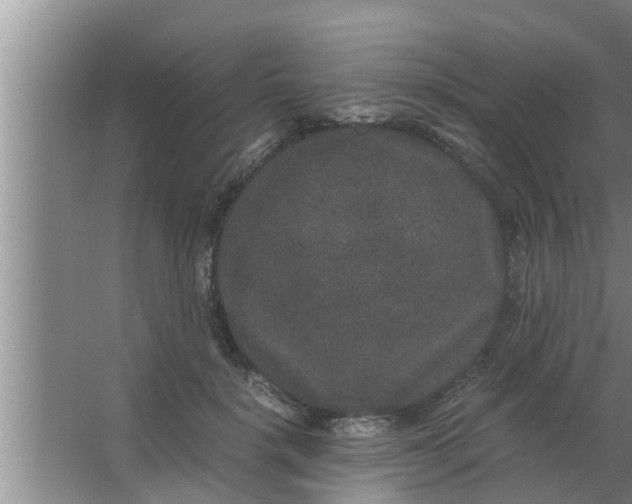 X0000063500652200602032019