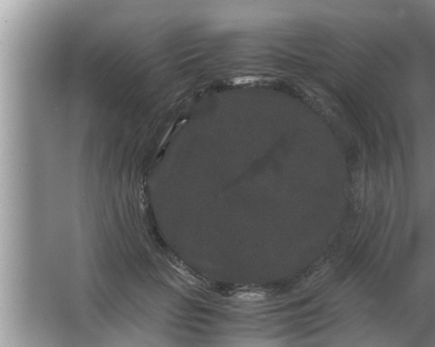 X0000063500653200602032019