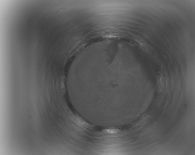 X0000063500654200602032019