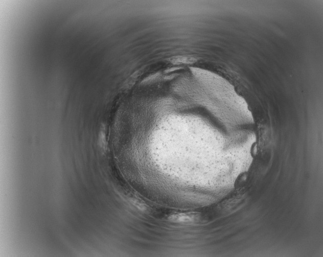 X0000063500655200602032019