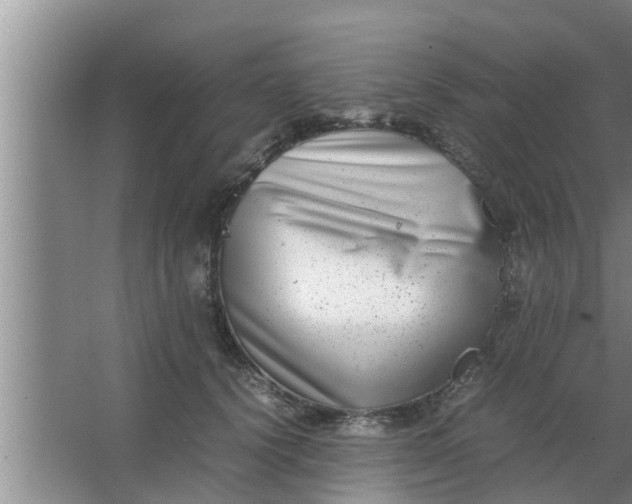 X0000063500656200602032019