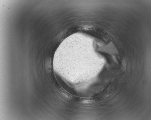 X0000063500657200602032019