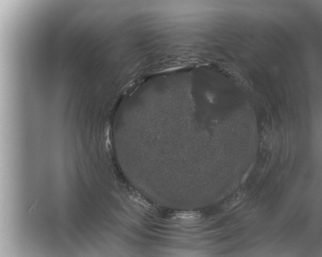 X0000063500659200602032019