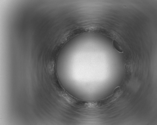 X0000063500660200602032019