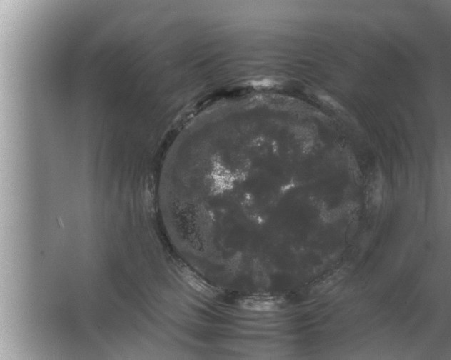 X0000063500661200602032019