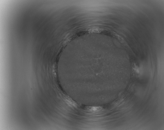 X0000063500663200602032019