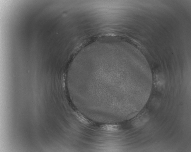 X0000063500664200602032019