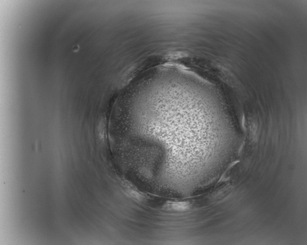 X0000063500665200602032019