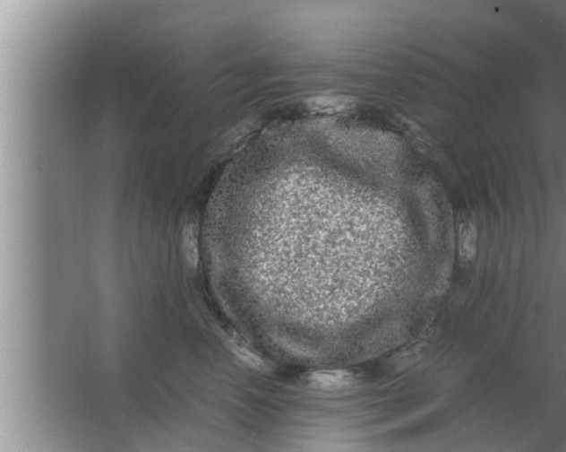 X0000063500666200602032019