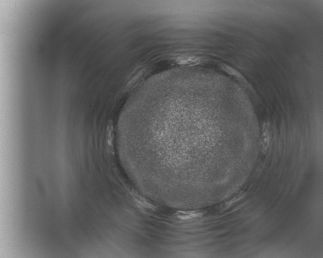 X0000063500667200602032019