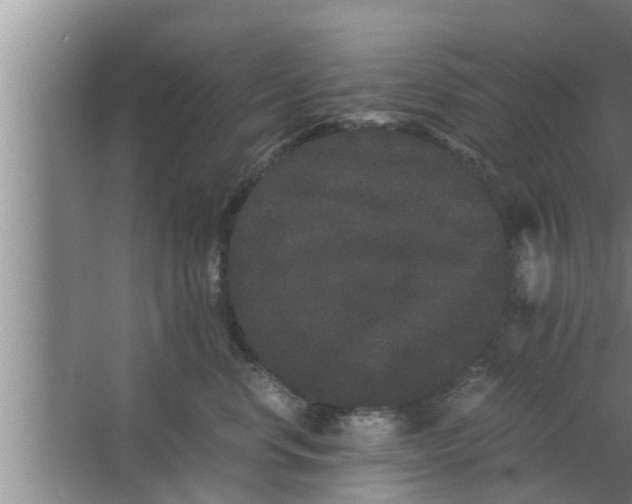 X0000063500668200602032019