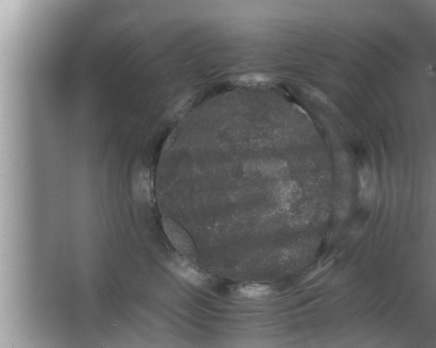 X0000063500669200602032019