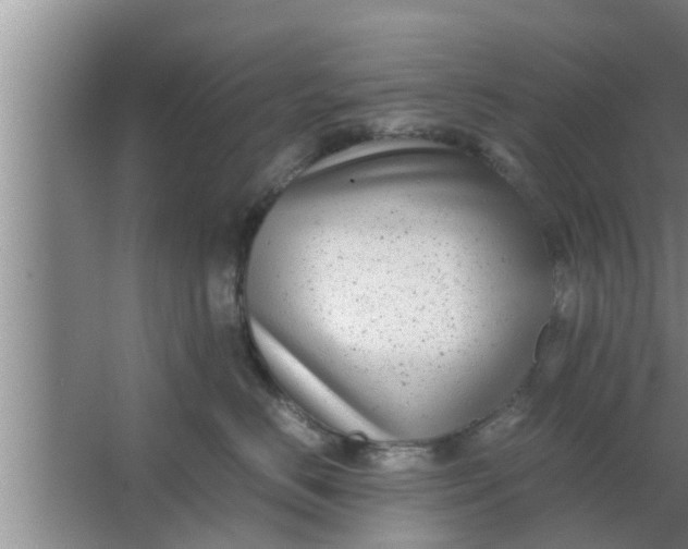 X0000063500670200602032019