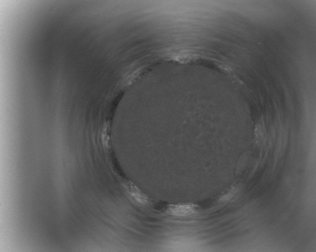 X0000063500671200602032019