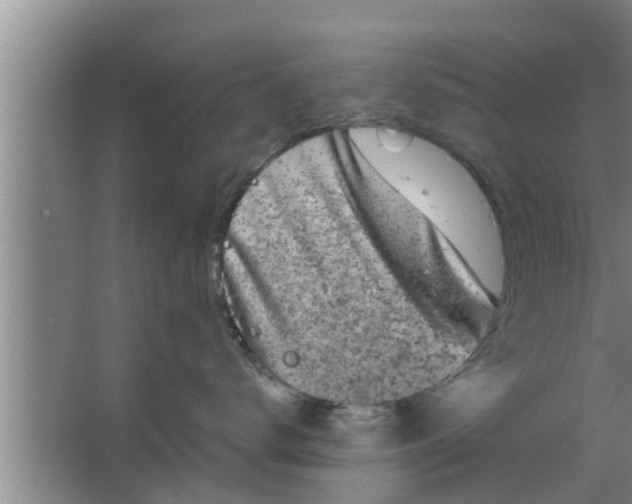 X0000063500672200602032019