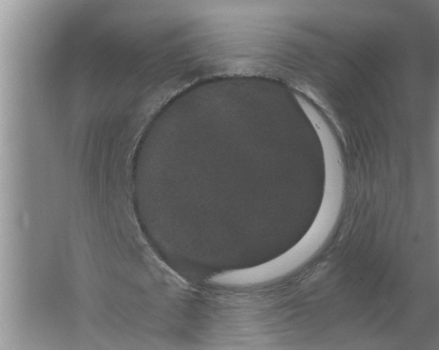 X0000063500673200602032018