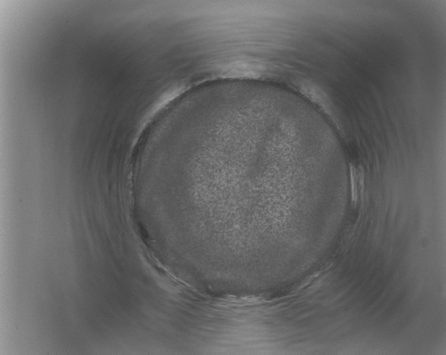 X0000063500675200602032018