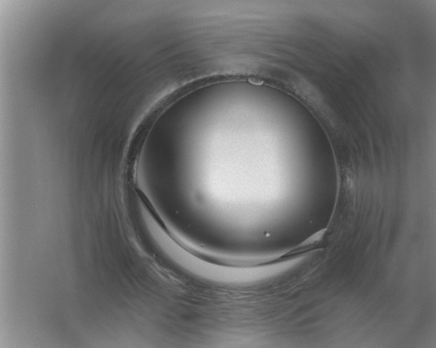 X0000063500676200602032018