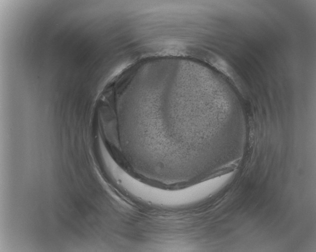 X0000063500677200602032018