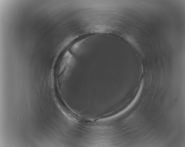 X0000063500678200602032018