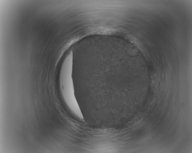 X0000063500679200602032018