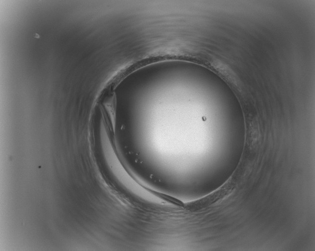 X0000063500680200602032018