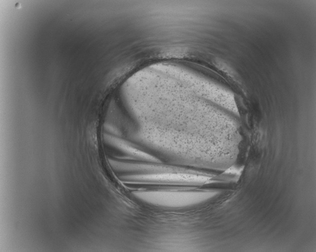 X0000063500681200602032018