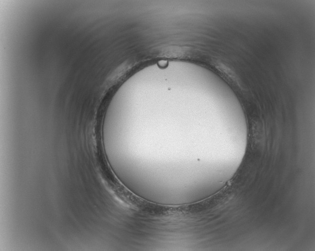 X0000063500682200602032018