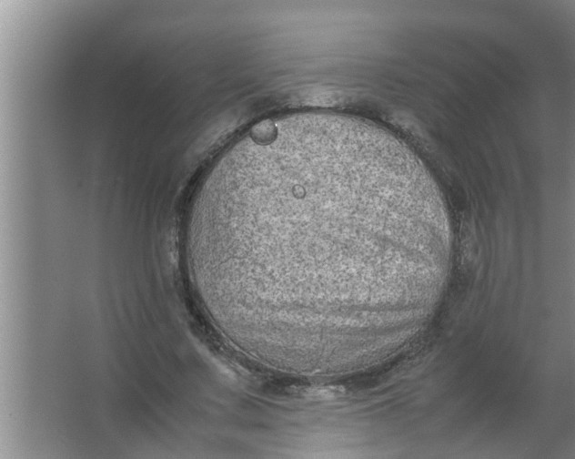 X0000063500683200602032018