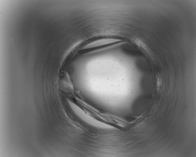 X0000063500684200602032018