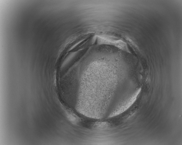 X0000063500685200602032018