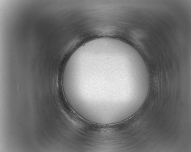 X0000063500686200602032018