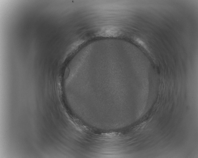 X0000063500688200602032018