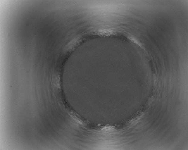 X0000063500689200602032018