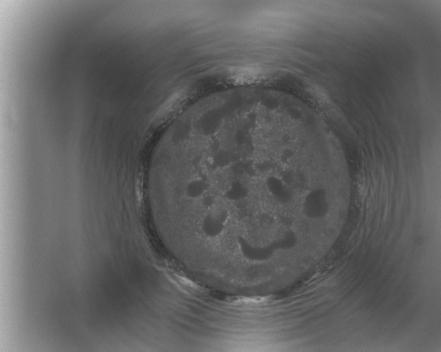 X0000063500691200602032018