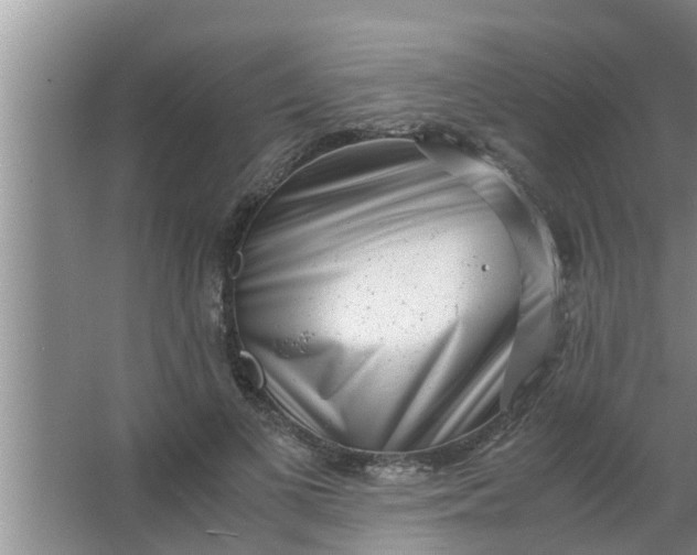 X0000063500693200602032018