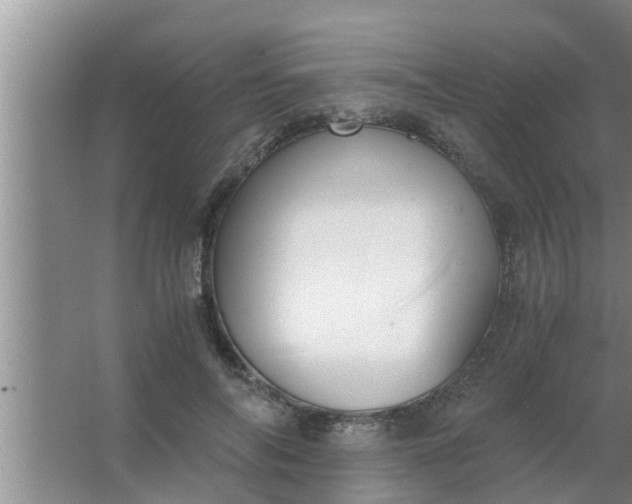 X0000063500694200602032018